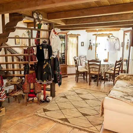 Venkovský dům Rustic Borşa