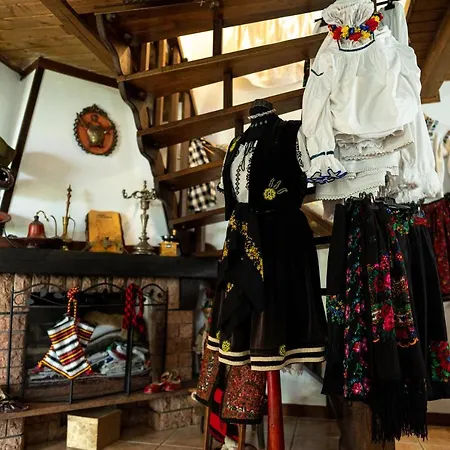 Rustic Venkovský dům Borşa