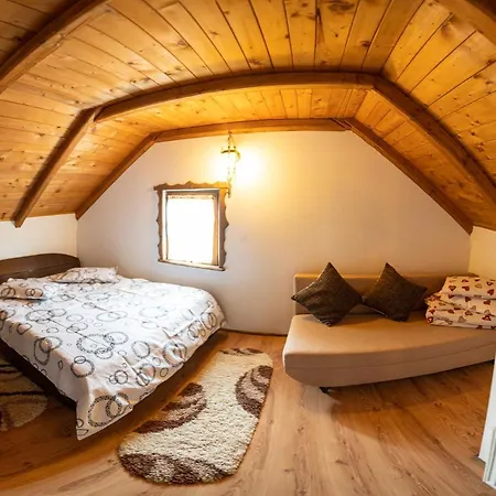 Venkovský dům Rustic Borşa