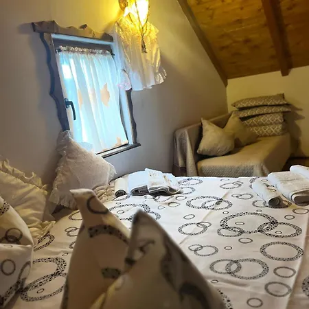 Venkovský dům Rustic Borşa