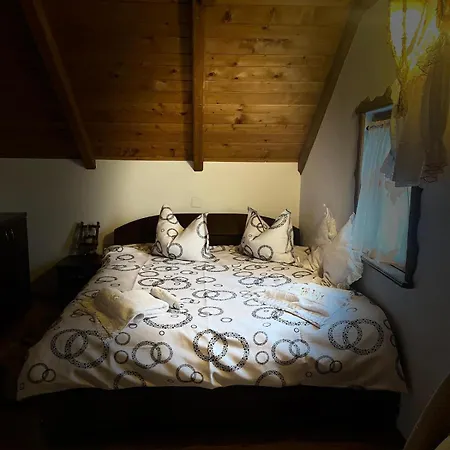 Venkovský dům Rustic Borşa