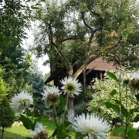 Venkovský dům Rustic
