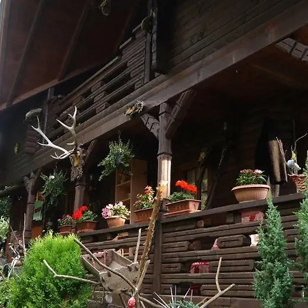 Rustic * Borşa